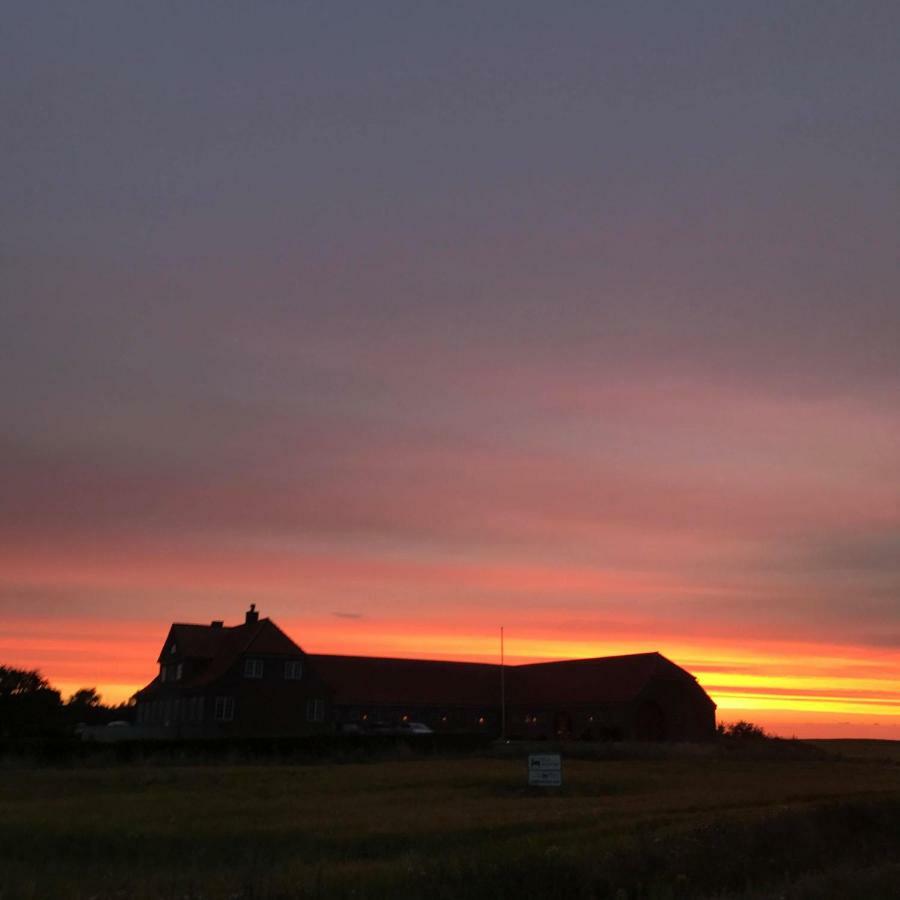 Bjerrumgaard Bed And Breakfast Ribe Exterior foto